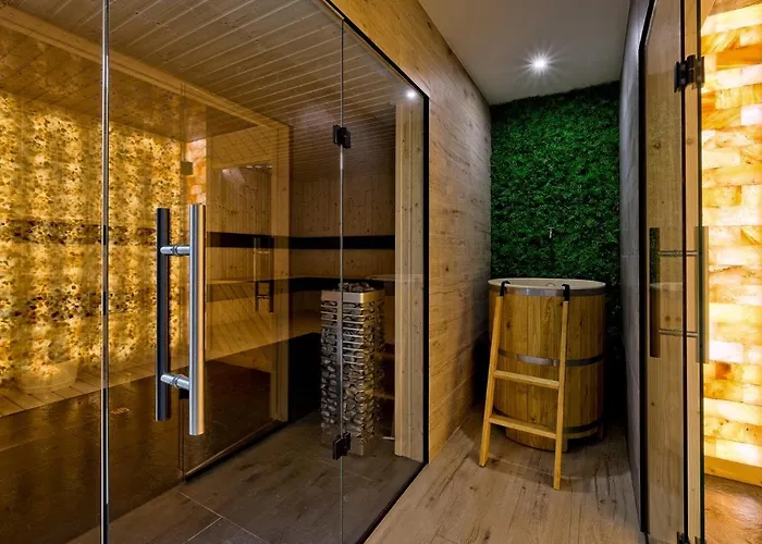 公寓 Bachledzki Wierch & Spa, Odkryj-zakopane 3*