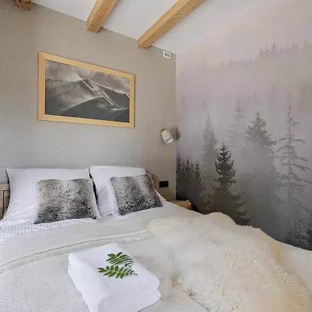 Bachledzki Wierch & Spa, Odkryj-zakopane 4* זקופאנה